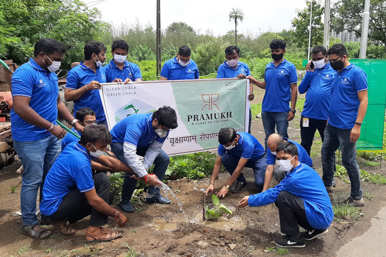 Tree Plantation in Vapi news