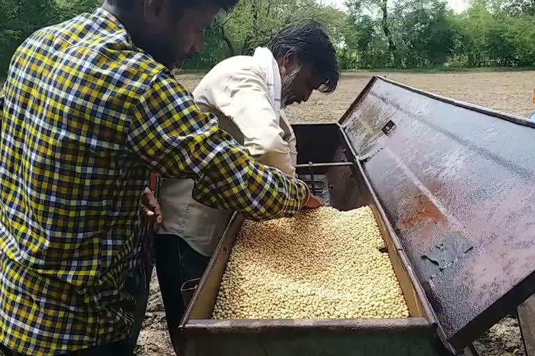 Farmers upset due to less rain