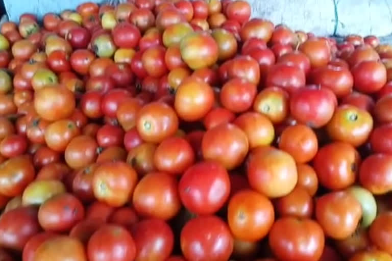 Nagloi Bhim Nagar Market tomato traders facing problems due to price hike of tomatoes