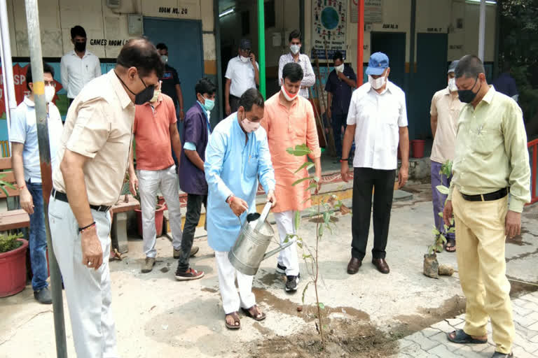 Vanamotsav program in Bhajanpura School