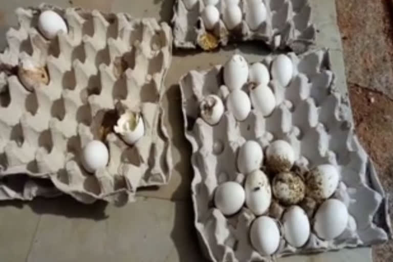 rotten eggs given to  pregnant, delivery ladies in jammanipalli anganwadi centre