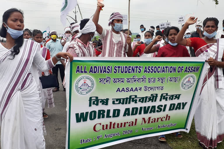 adivasi day celebration at kokrajhar