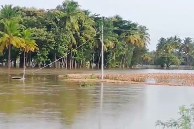 ಗ್ರಾಮದ ಜಮೀನುಗಳು ನದಿಯ ನೀರಿನಿಂದ ಜಲಾವೃತ