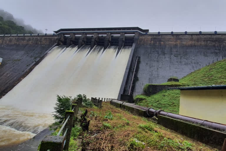 ഡാം തുറന്നു വാര്‍ത്ത  പമ്പാ ഡാം വാര്‍ത്ത  മഴ വാര്‍ത്ത  dam open news  pampa dam news  rain news