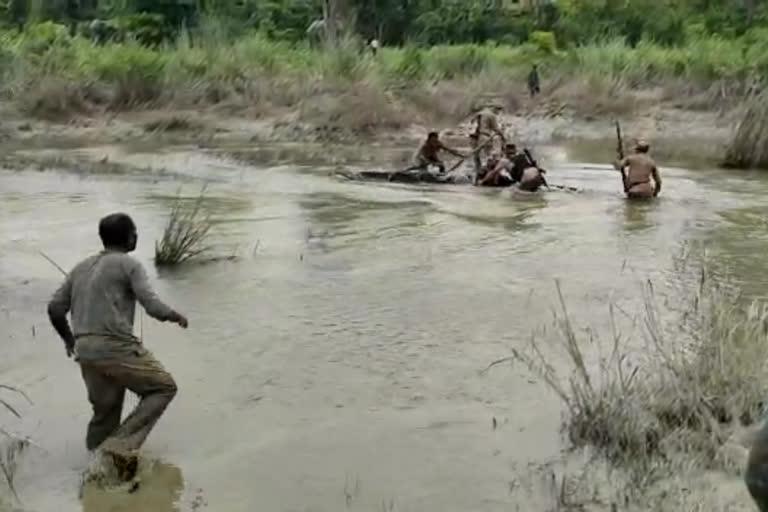 Kaziranga National park