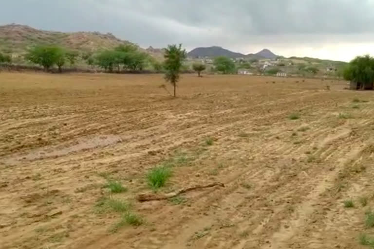 Barmer news, Farmers upset, Fear of famine