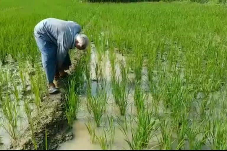 मुआवजे की आस में बैठे किसान.