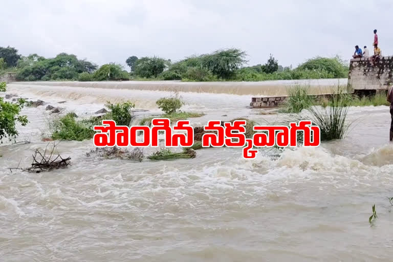 Heavy rain flood approaching middle Manor at vemulawada sircilla district