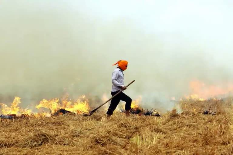 supreme court ask haryana govt on stubble burning issue