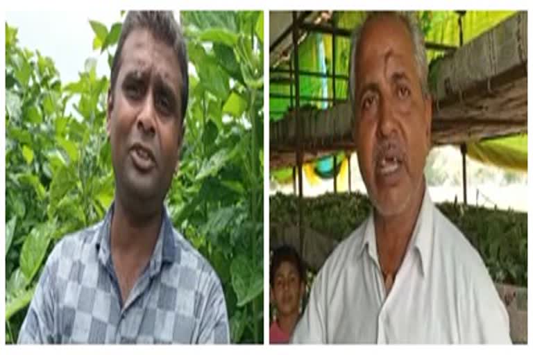 two farmers from jalgaon