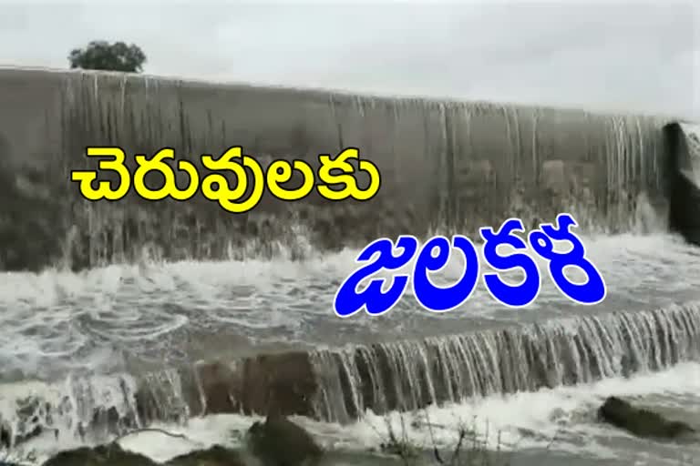 ఎడతెరిపిలేని వర్షాలు... పొంగి పొర్లుతున్న వాగులు, చెరువులు