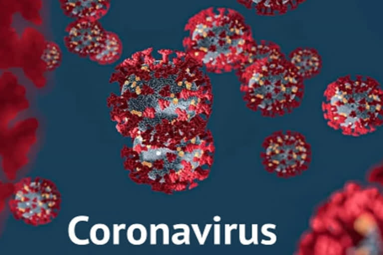 coronavirus positive in solan