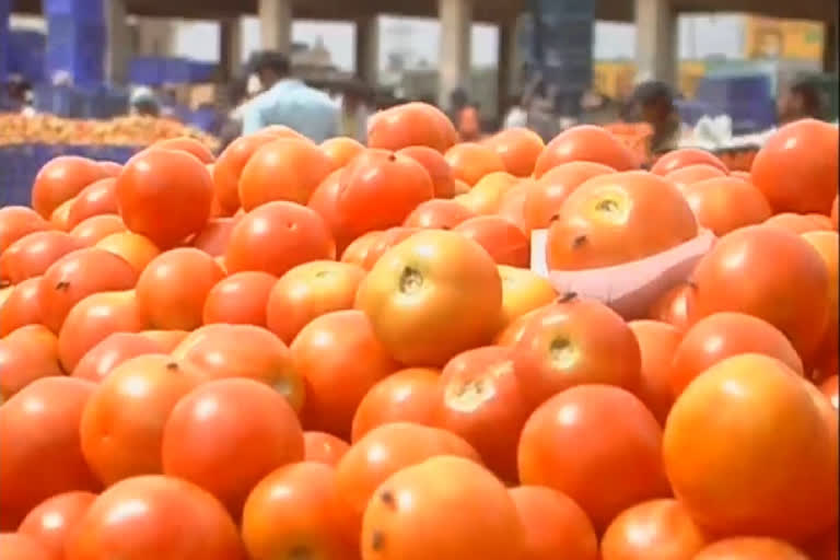 price of tomato is declining