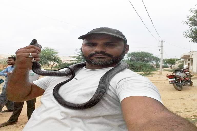 Youth dies of snake bite in Nagaur,  Youth dies in Nagaur