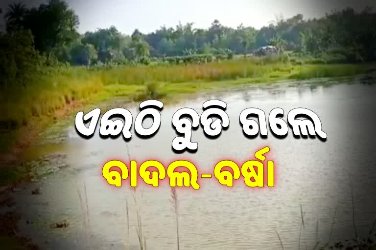 ପୋଖରୀରେ ବୁଡି ନାବାଳକ ଭାଇ-ଭଉଣୀଙ୍କ ମୃତ୍ୟୁ