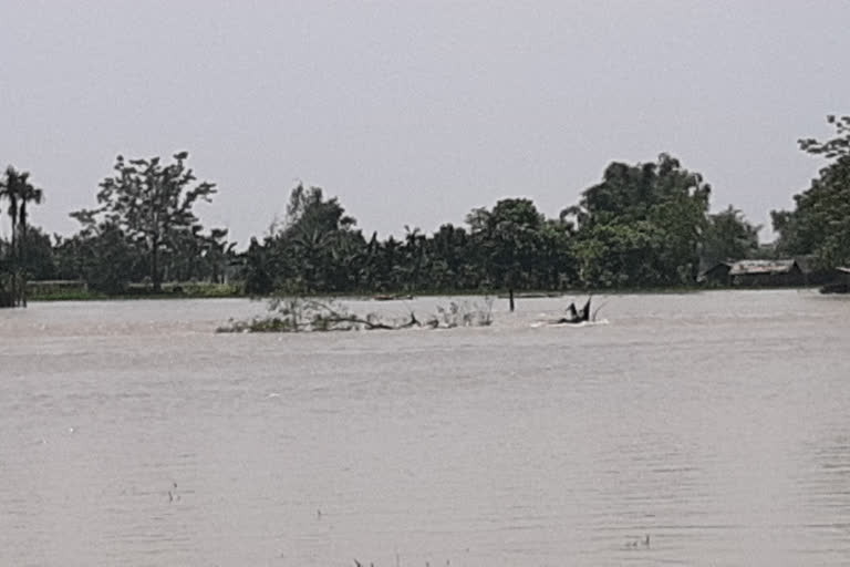 Bihar flood situation remains grim