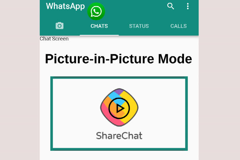 Sharechat users