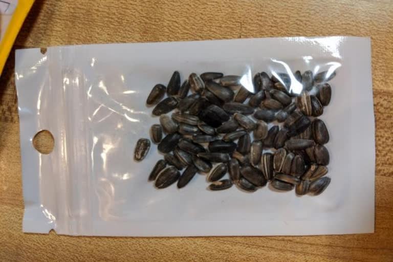 seed parcel