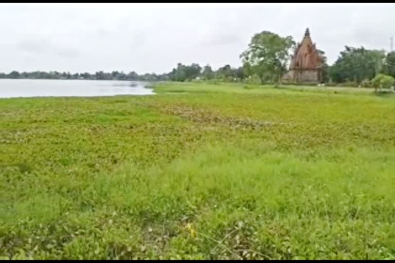 Gauri Sagar pond