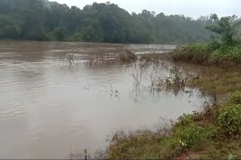 Heavy rain fall in Chikkamagalur