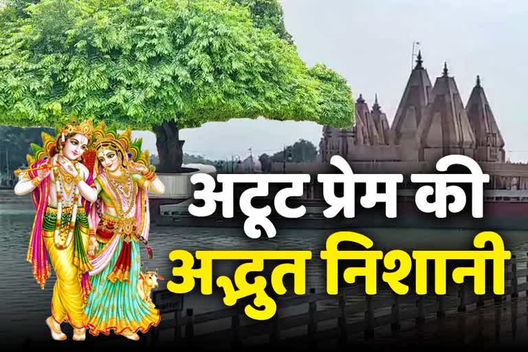 connection of kurukshetra tamal tree with shri krishna and radha