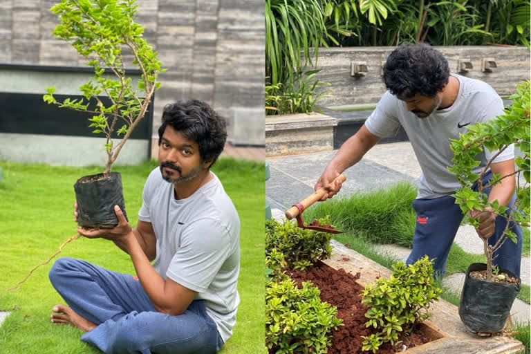 Thalapathy Vijay takes part in Green India Challenge, thanks Mahesh Babu for nominating him