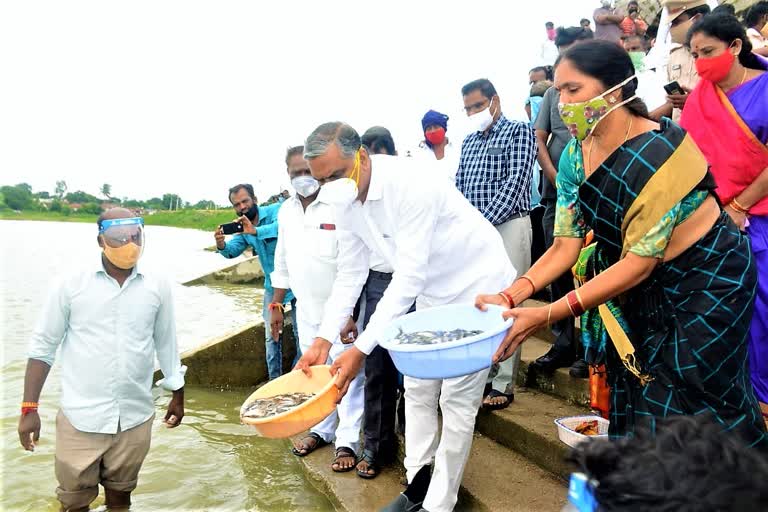 minister-harish-rao-on-rural-development-programs