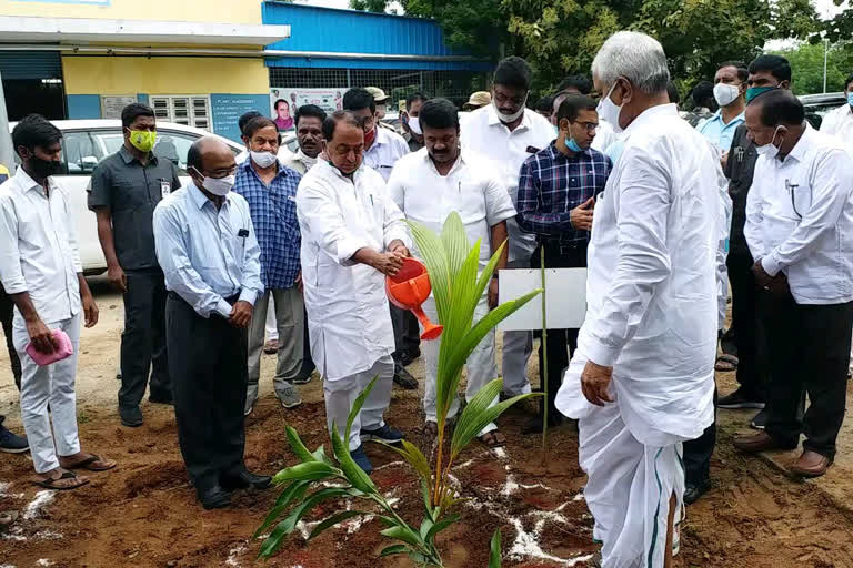 'హరితహారంలో ప్రతి ఒక్కరూ భాగస్వాములు కావాలి'