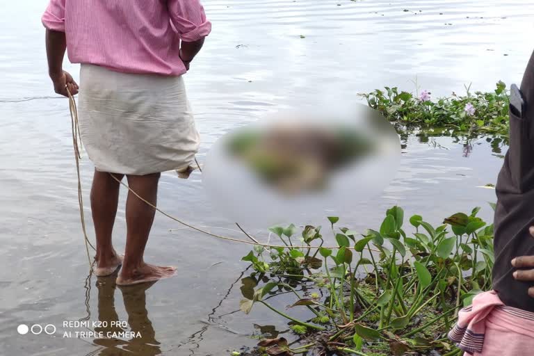 വേമ്പനാട്ട് കായൽ  വേമ്പനാട്ട് കായലിൽ സ്ത്രീയുടെ മൃതദേഹം  Woman's body found  Vembanad lake