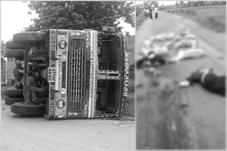 lorry accident at martur mandal and 13 sheep died in prakasam district