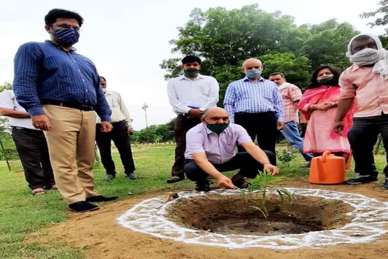 Plantation on sacrifice day of Khudiram Bose in Board of Education bhiwani