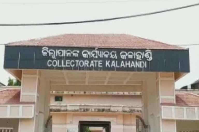 corona update of kalahandi