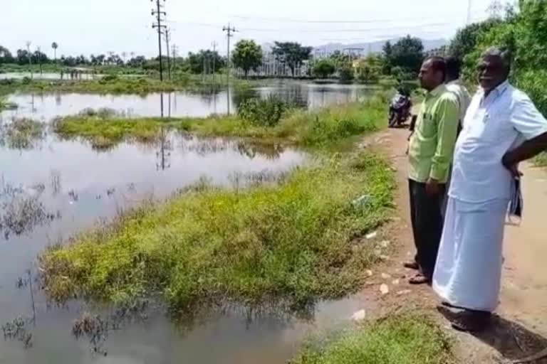 சேலம் மாவட்டச் செய்திகள்  பசுமைத் தாயகம் அமைப்பு  சேலத்தாம்பட்டி ஏரி சீரமைப்புப் பணி  salem district news  salethampatty lake area