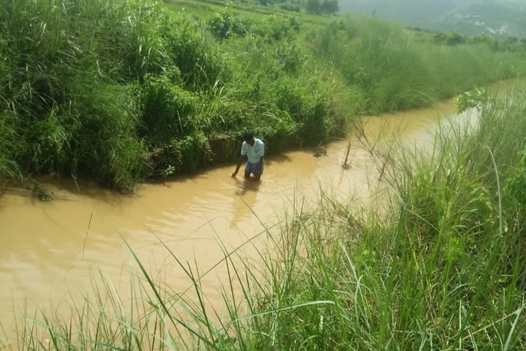 Irrigation water reached suburbs of Palakonda