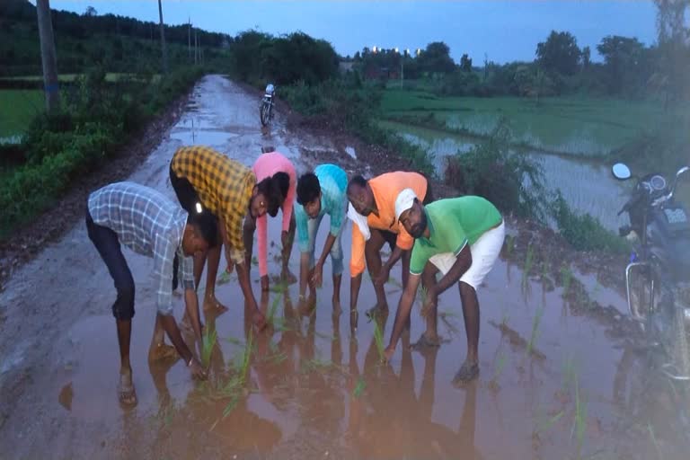 ಭತ್ತ ನಾಟಿ ಮಾಡಿ ವಿಭಿನ್ನ ಪ್ರತಿಭಟನೆ