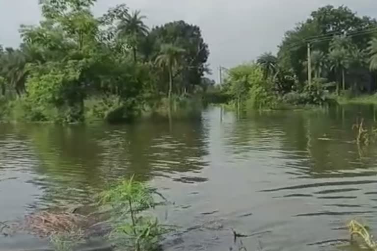 Death toll due to floods in Bihar rises to 24, over 75 lakh people affected