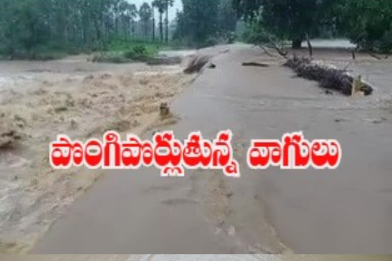 heavy rains in bhadradri kothagudem district