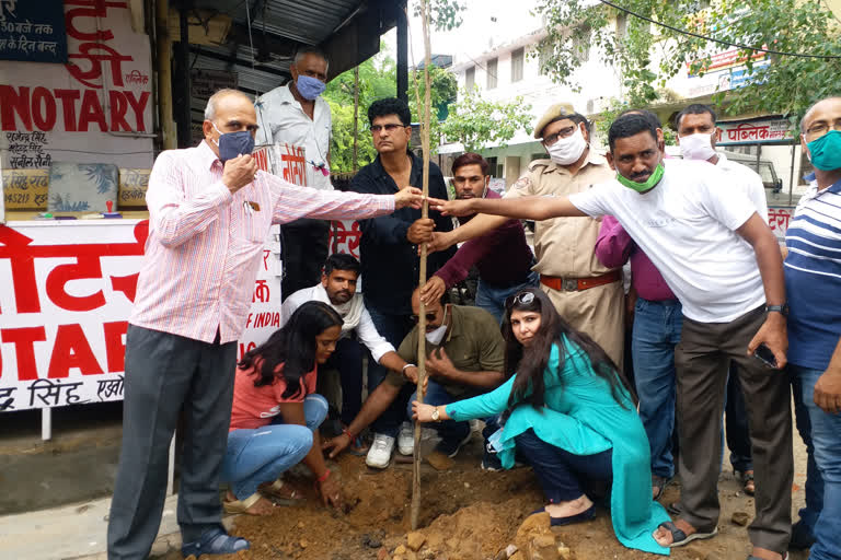 jaipur news, plantation, District Bar Association