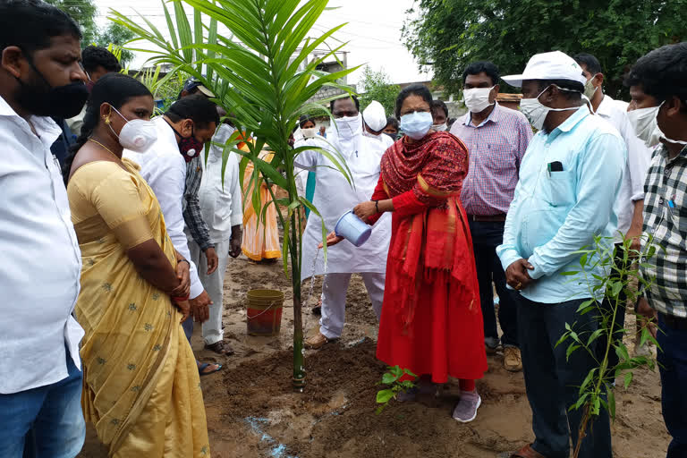 jangaon collector particpated in harithaharam programme