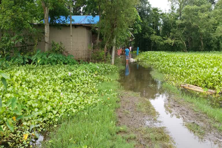 Poor Road Condition In Assam Nalbari