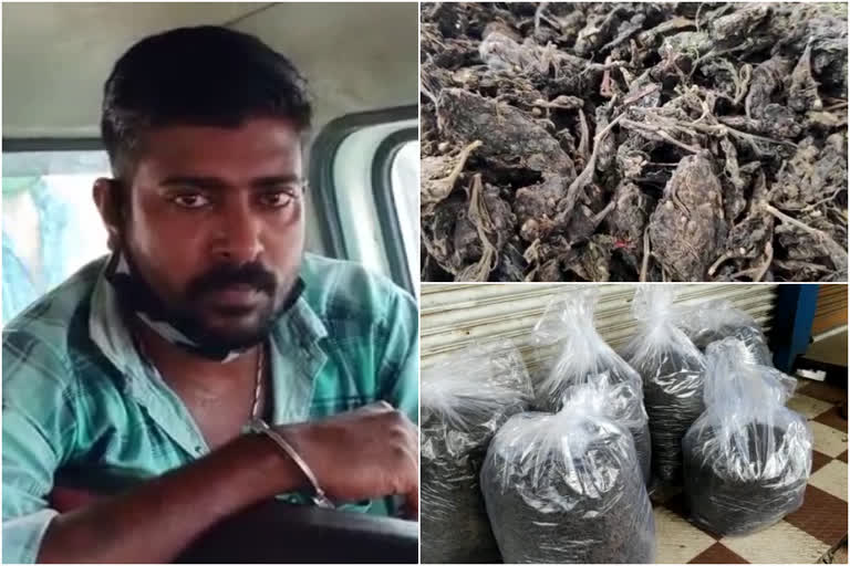 ganja seized from chalakudy  ചാലക്കുടിയിൽ കഞ്ചാവ് വേട്ട  കഞ്ചാവ് വേട്ട  ganja seized