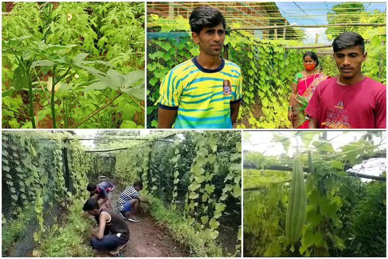 Vegetables Production