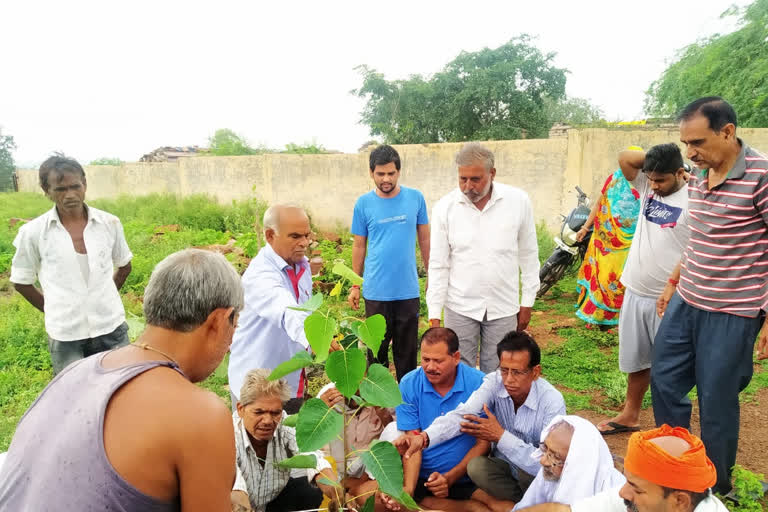 51 plants planted on janmashtni