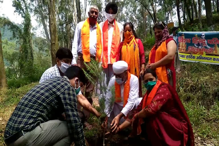 Vishwa Hindu Parishad celebrated Foundation Day by planting saplings