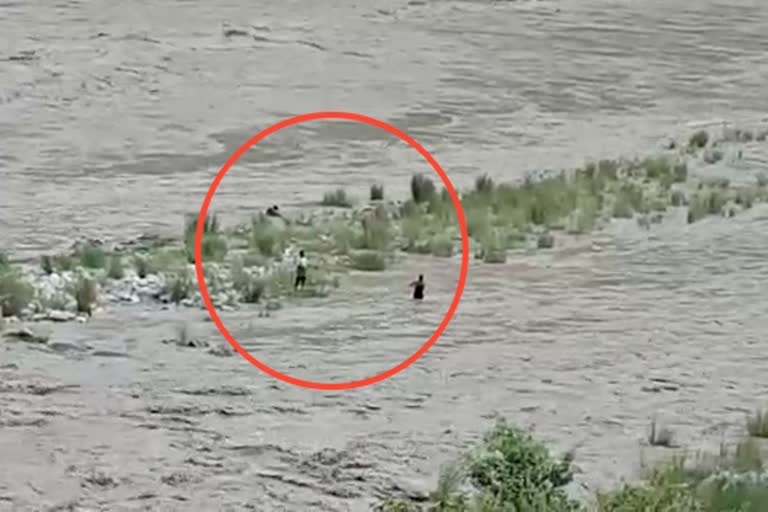 youths stranded between Sutlej river