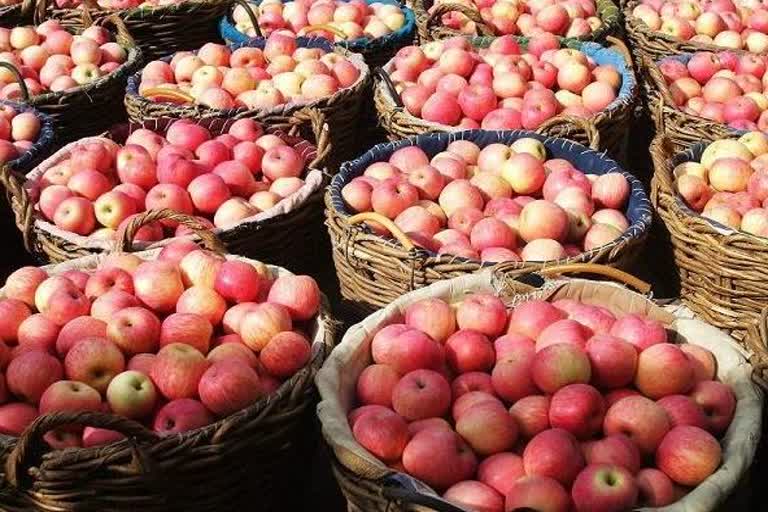 Gardeners are not getting good prices for Royal apple variety