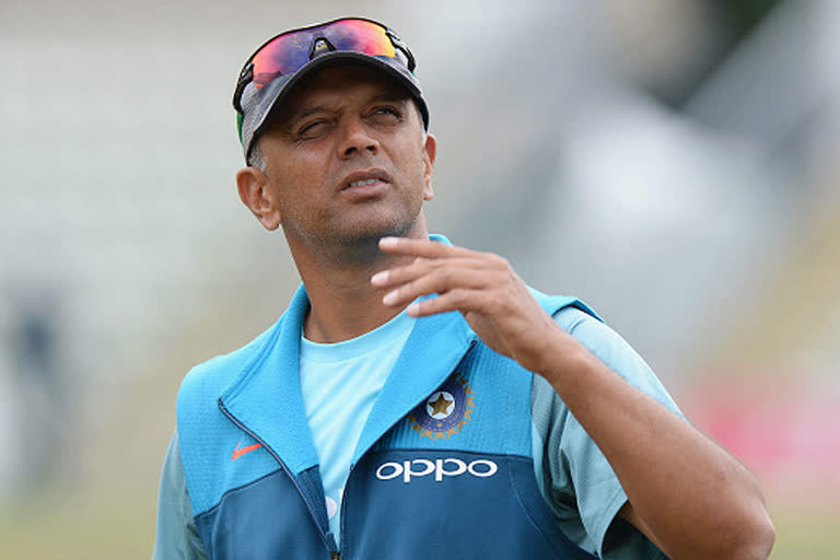 BCCI  NCA head  Rahul Dravid