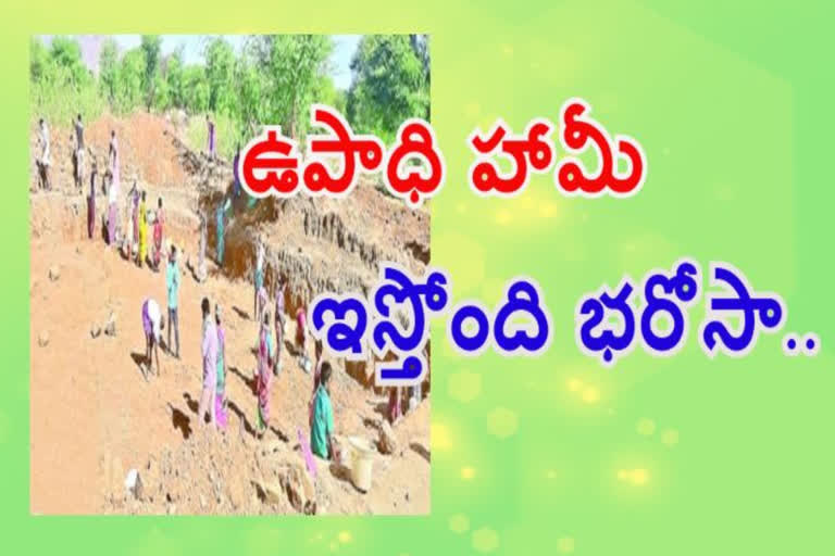 upadhi haami works in kadapa district