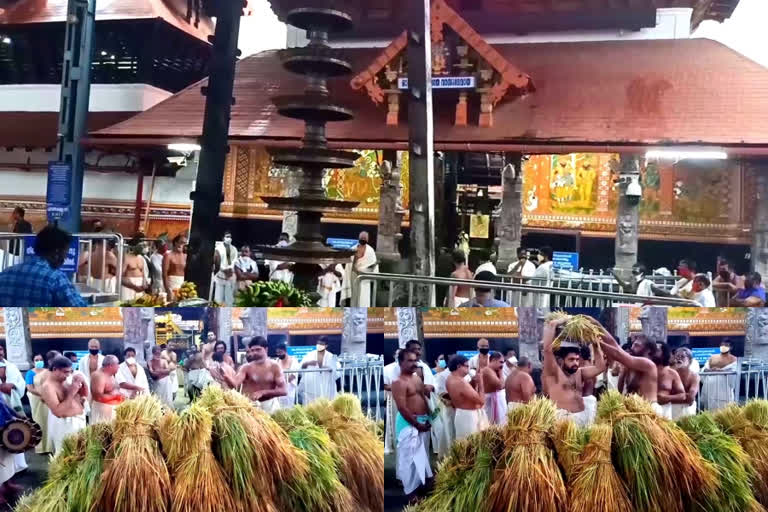 celebration was held at the Guruvayur temple  ഗുരുവായൂർ ക്ഷേത്രത്തിൽ ഇല്ലം നിറ ആഘോഷം നടന്നു  ഇല്ലം നിറ  Guruvayur temple  ഗുരുവായൂർ ക്ഷേത്രം