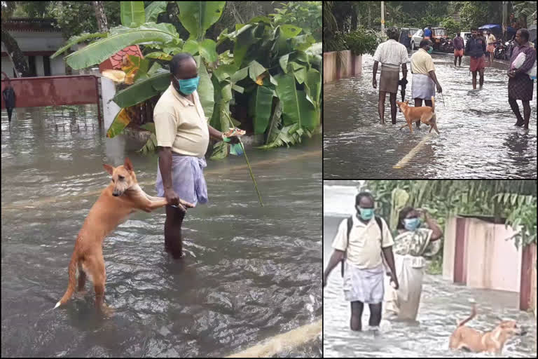 കോട്ടയം  കേരള പ്രളയം  flood 2020  മഹാപ്രളയം  #food2020  നായയും, യജമാനനും  വളർത്തു നായ